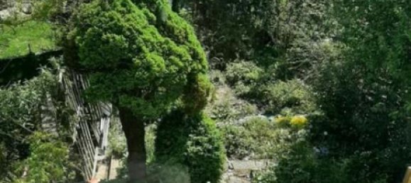 Adosado de 2 dormitorios en Hof, Germany No. 276693 16