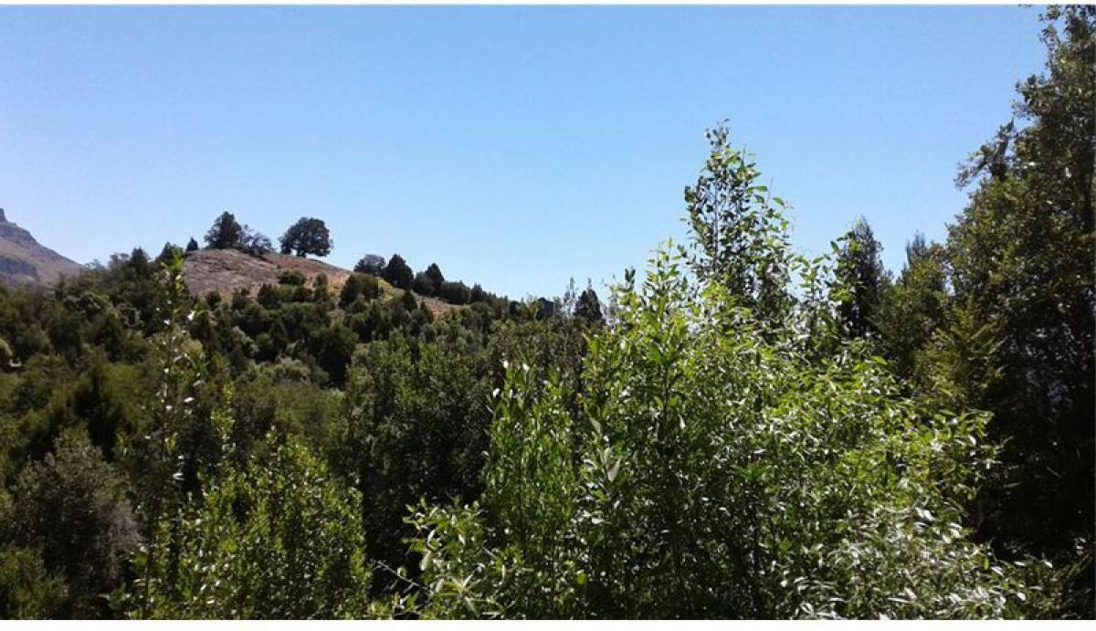  قطعة أرض في Neuquen, Argentina رقم 38982