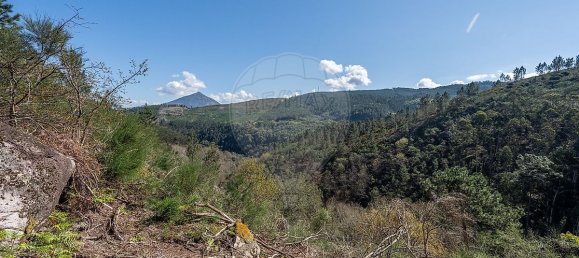 Casa de 9 dormitorios en Celorico de Basto, Portugal No. 68154 20