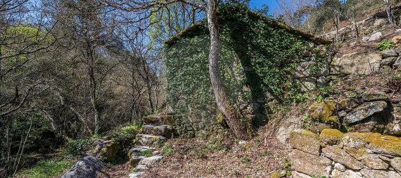 Casa de 9 dormitorios en Celorico de Basto, Portugal No. 68154 18