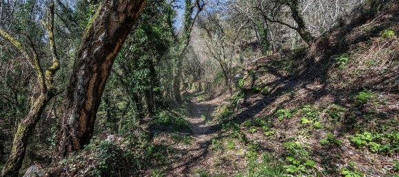Casa de 9 dormitorios en Celorico de Basto, Portugal No. 68154 8