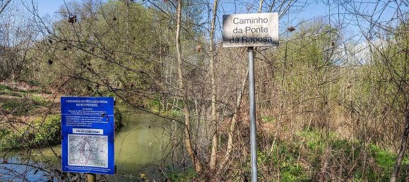 Casa de 9 dormitorios en Celorico de Basto, Portugal No. 68154 6