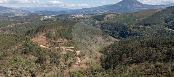 Casa de 9 dormitorios en Celorico de Basto, Portugal No. 68154 21