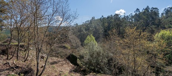 Casa de 9 dormitorios en Celorico de Basto, Portugal No. 68154 19