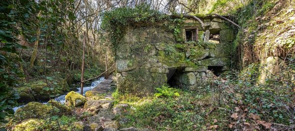 Casa de 9 dormitorios en Celorico de Basto, Portugal No. 68154 14