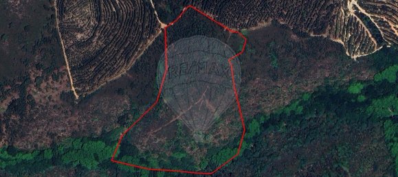 Casa de 9 dormitorios en Celorico de Basto, Portugal No. 68154 3