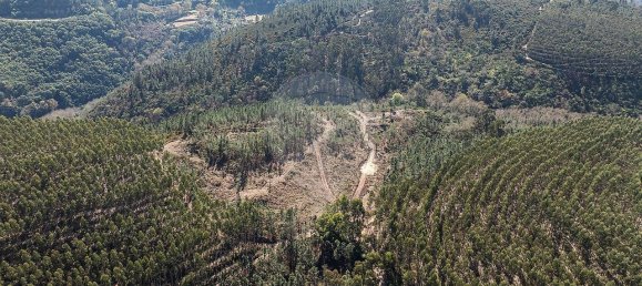 Casa de 9 dormitorios en Celorico de Basto, Portugal No. 68154 22