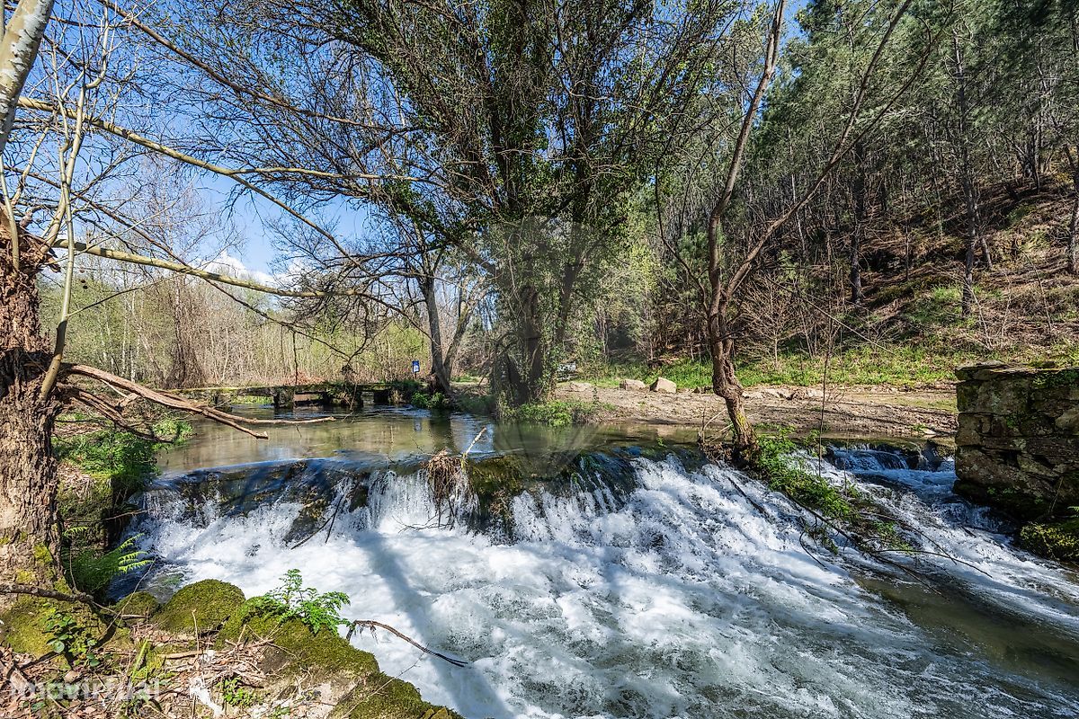 Casa de 9 dormitorios en Celorico de Basto, Portugal No. 68154