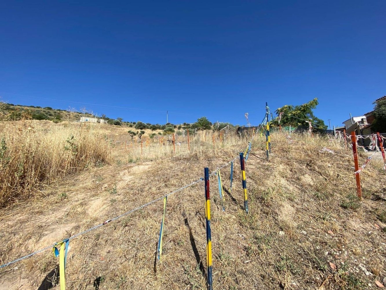 Terrain à Perales de Tajuna, Spain No. 192448