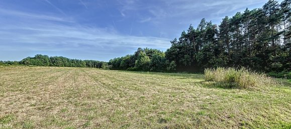 2 bedrooms House in Loir-et-Cher, France No. 264002 17