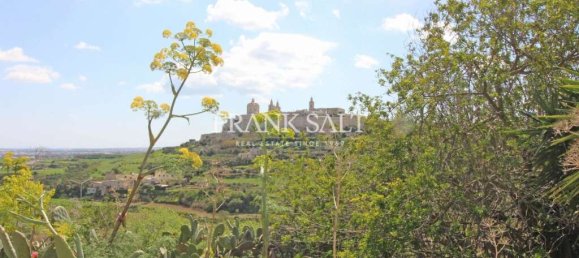 3 bedrooms Farm in Mtarfa, Malta No. 1549 3