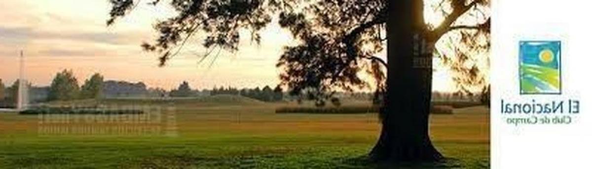  Land in General Rodriguez, Argentina No. 46341