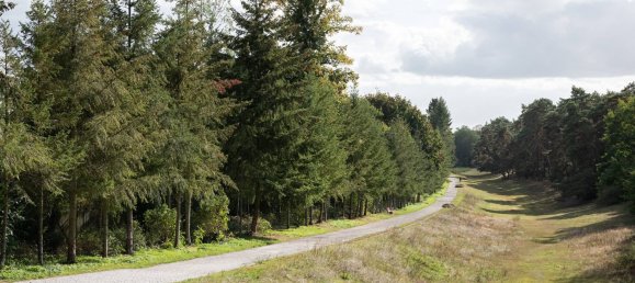 2 bedrooms Apartment in Dahlem, Germany No. 94333 11