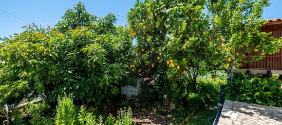 4 bedrooms House in Talhadas, Portugal No. 183624 42