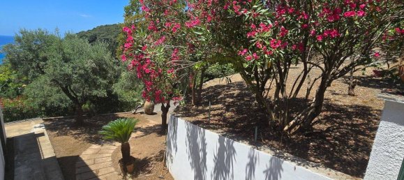 9 rooms Villa in Maratea, Italy No. 133678 28