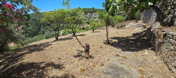 9 rooms Villa in Maratea, Italy No. 133678 29