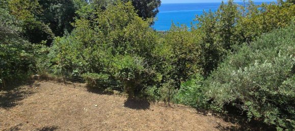 9 rooms Villa in Maratea, Italy No. 133678 35