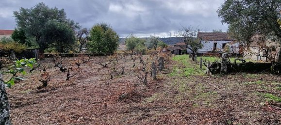 Casa de 4 dormitorios en Sabugal, Portugal No. 20360 15
