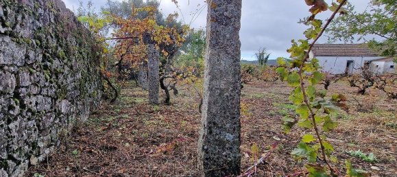 Casa de 4 dormitorios en Sabugal, Portugal No. 20360 17