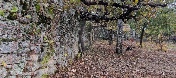 Casa de 4 dormitorios en Sabugal, Portugal No. 20360 16