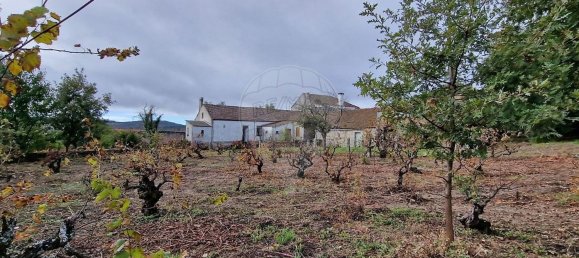 Casa de 4 dormitorios en Sabugal, Portugal No. 20360 18