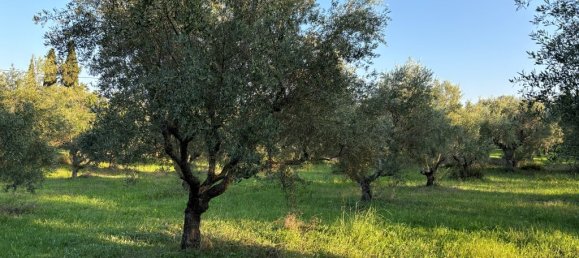 350 m² propiedad comercial en venta en Zakynthos, Ionian Islands, Peloponnese, Western Greece and the Ionian, Greece № 54473 14