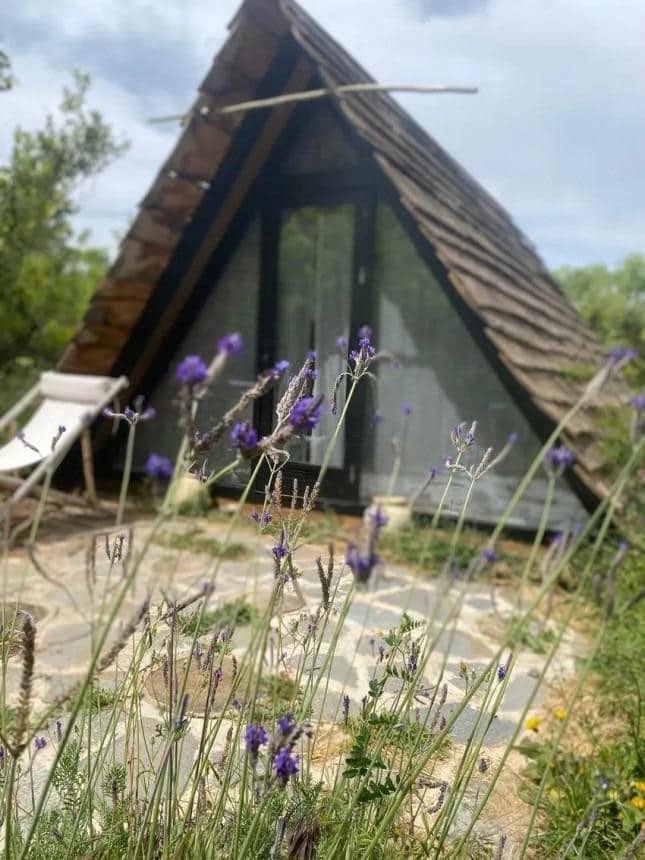 9 bedrooms House in Monda, Spain No. 140755