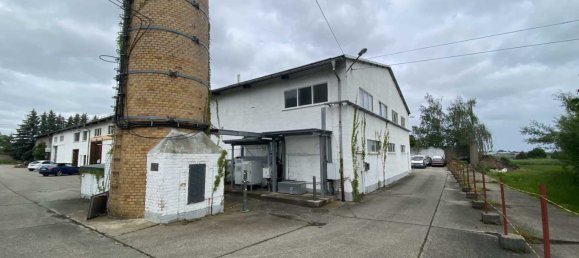 Almacén en Altenburger Land, Germany 1200 m² No. 145792 13