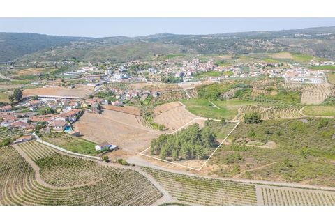  Land in Murca, Portugal No. 248299