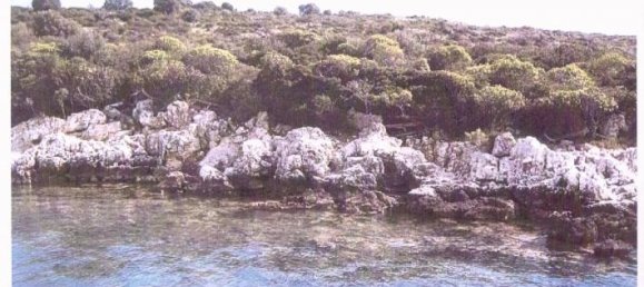 terreno en venta en Kefalonia, Ionian Islands, Peloponnese, Western Greece and the Ionian, Greece № 865 4