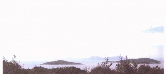 terreno en venta en Kefalonia, Ionian Islands, Peloponnese, Western Greece and the Ionian, Greece № 865 3