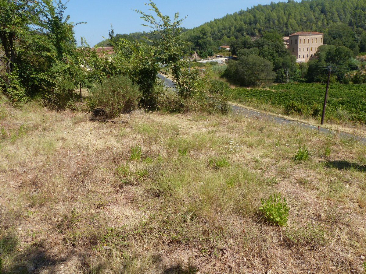  Land in Les Arcs, France No. 198493