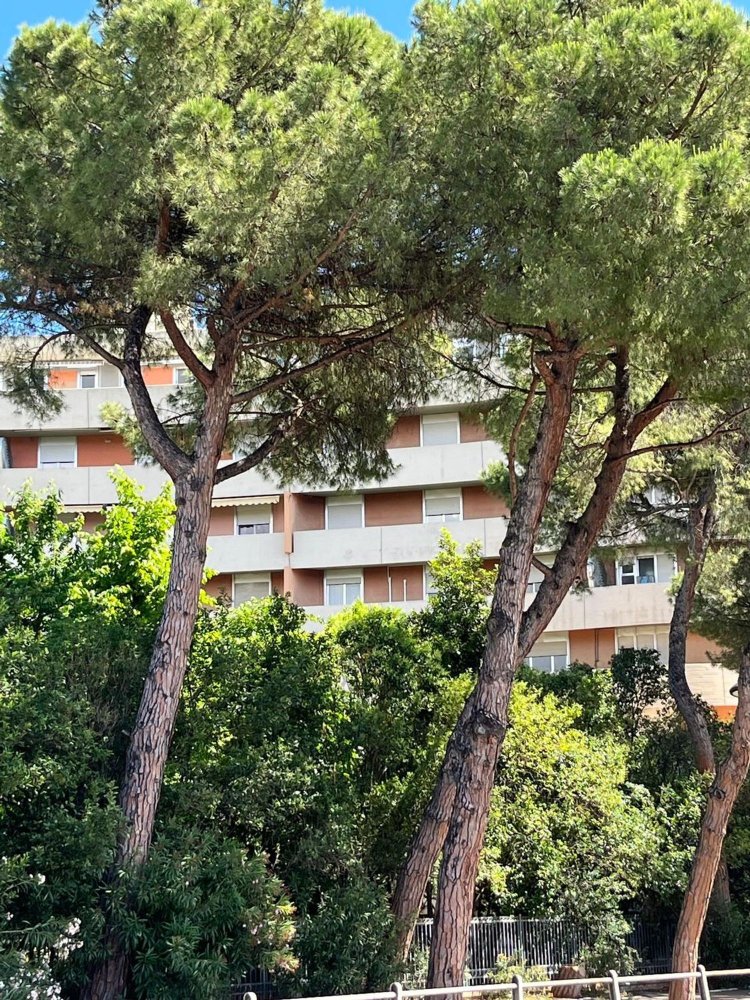 5غرفة شقة في Pescara, Italy رقم 79562