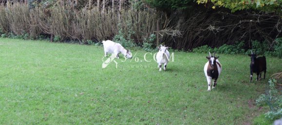 4 bedrooms House in Phalempin, France No. 157259 3