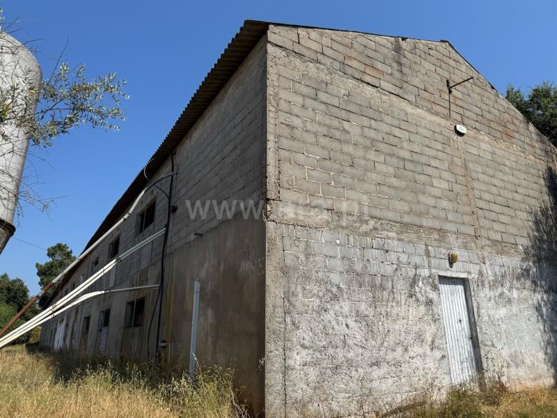 Lagerhaus in Tomar, Portugal 1400m², Nr. 263453