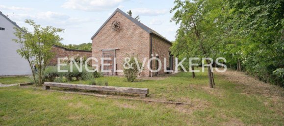 Casa de 1 dormitorio en Mistelbach, Austria No. 127271 11