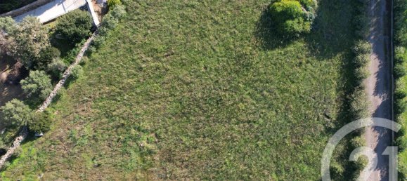 Terrain à Corbara, France No. 270460 3