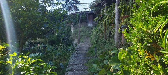 Gebäude in Porto, Portugal 452m², Nr. 35239 6