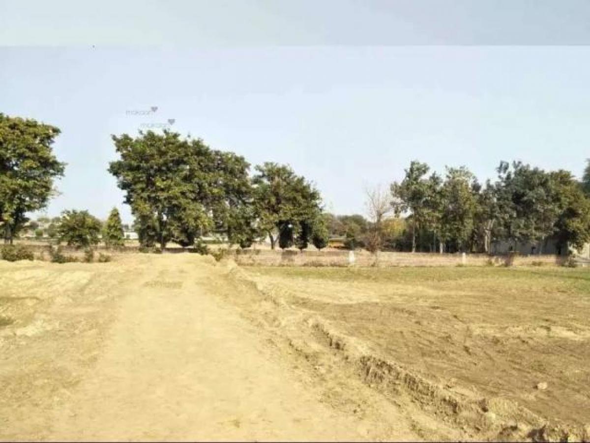  Land in Rohtak, India No. 35240