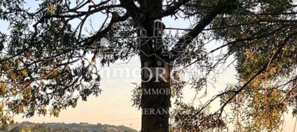 4 غرف نوم فيلا في Manciano, Italy رقم 278324 34