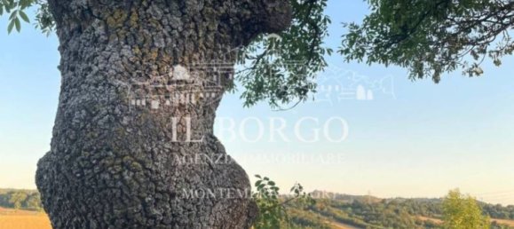 4 غرف نوم فيلا في Manciano, Italy رقم 278324 38