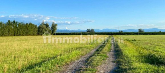 Lagerhaus in Campegine, Italy 1633m², Nr. 259943 5