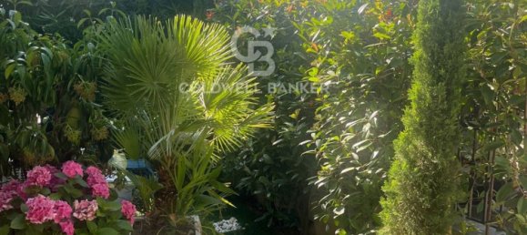 5 rooms Villa in Riccione, Italy No. 106034 11