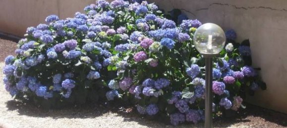 3 bedrooms Apartment in Vigevano, Italy No. 11868 26