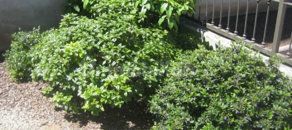 3 bedrooms Apartment in Vigevano, Italy No. 11868 27