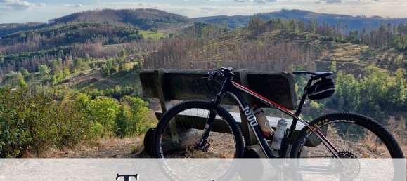 11-Zimmer Stadthaus in Goslar, Germany, Nr. 146822 28