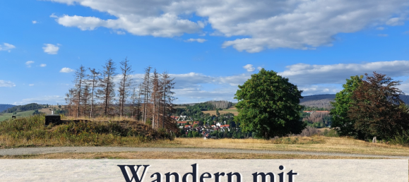 11-Zimmer Stadthaus in Goslar, Germany, Nr. 146822 29