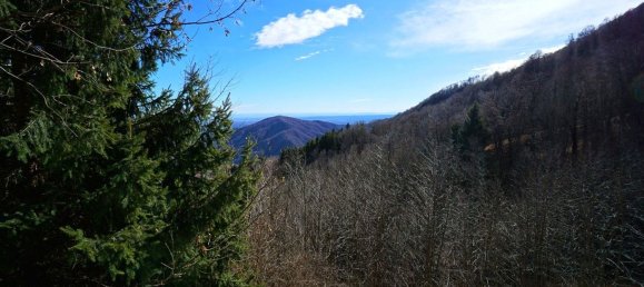 6 rooms House in Valdilana, Italy No. 109502 26