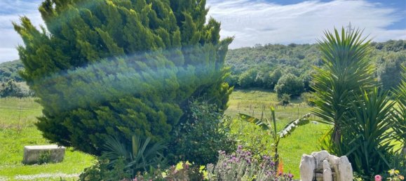 5 غرف نوم منزل في Cantabria, Spain رقم 163811 15