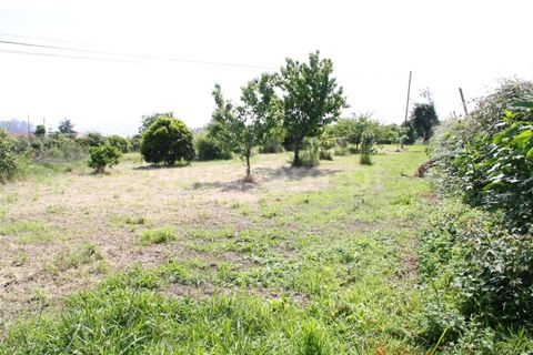 Terrain à Barcelos, Portugal No. 202283